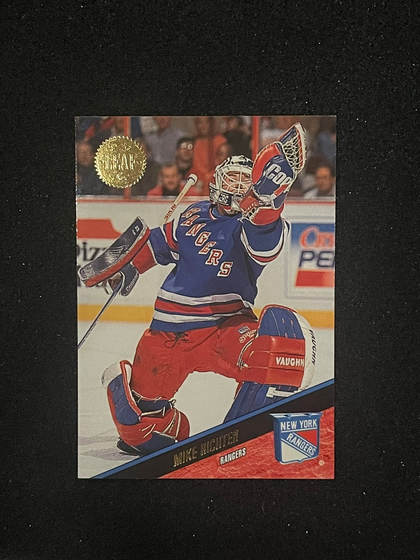 1993-94 Leaf Mike Richter #81 New York Rangers NHL Goalie Card